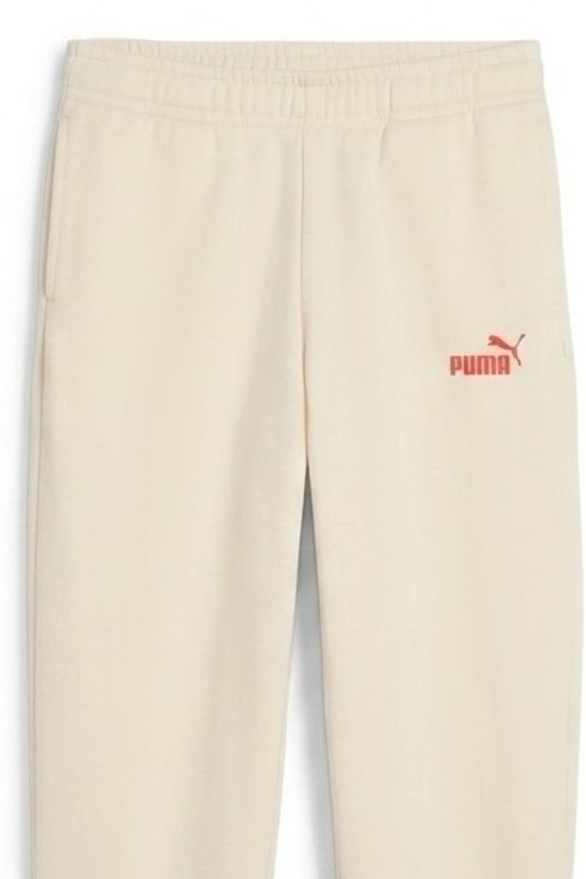 PUMA RAND SWEATPANTS FL B en color BEIS  (3)