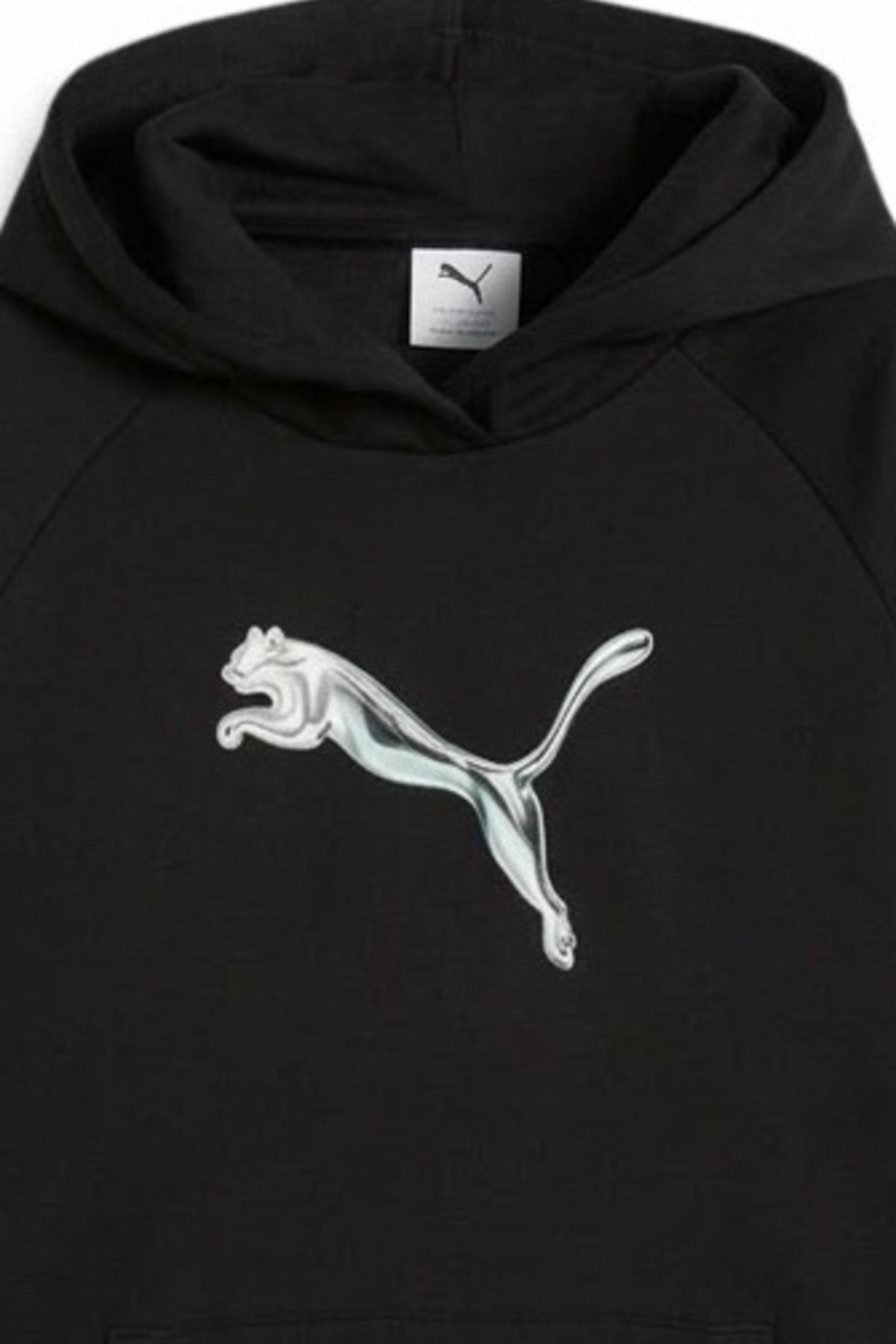PUMA  STANDARD HOODIE en color   (2)