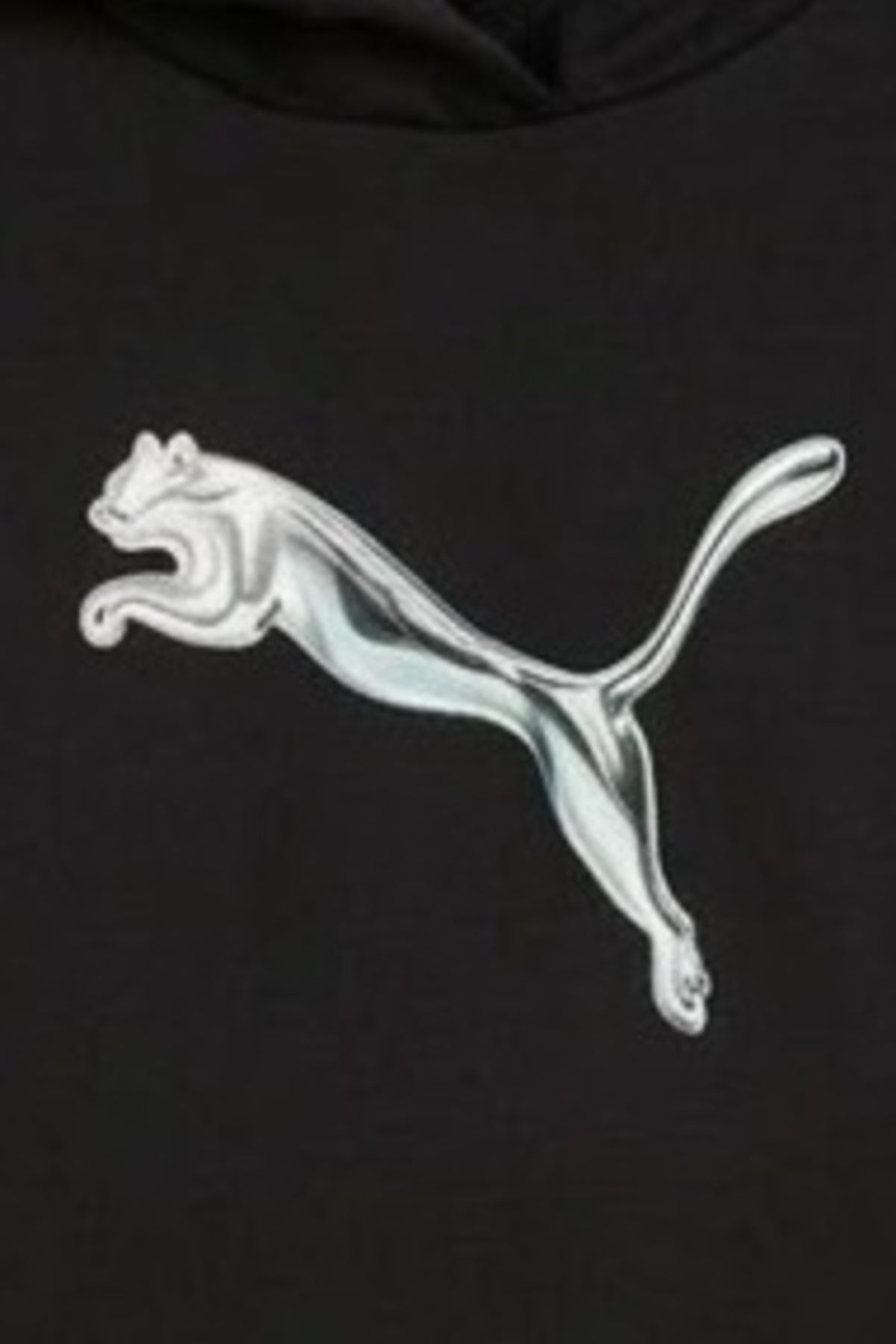 PUMA  STANDARD HOODIE en color   (3)