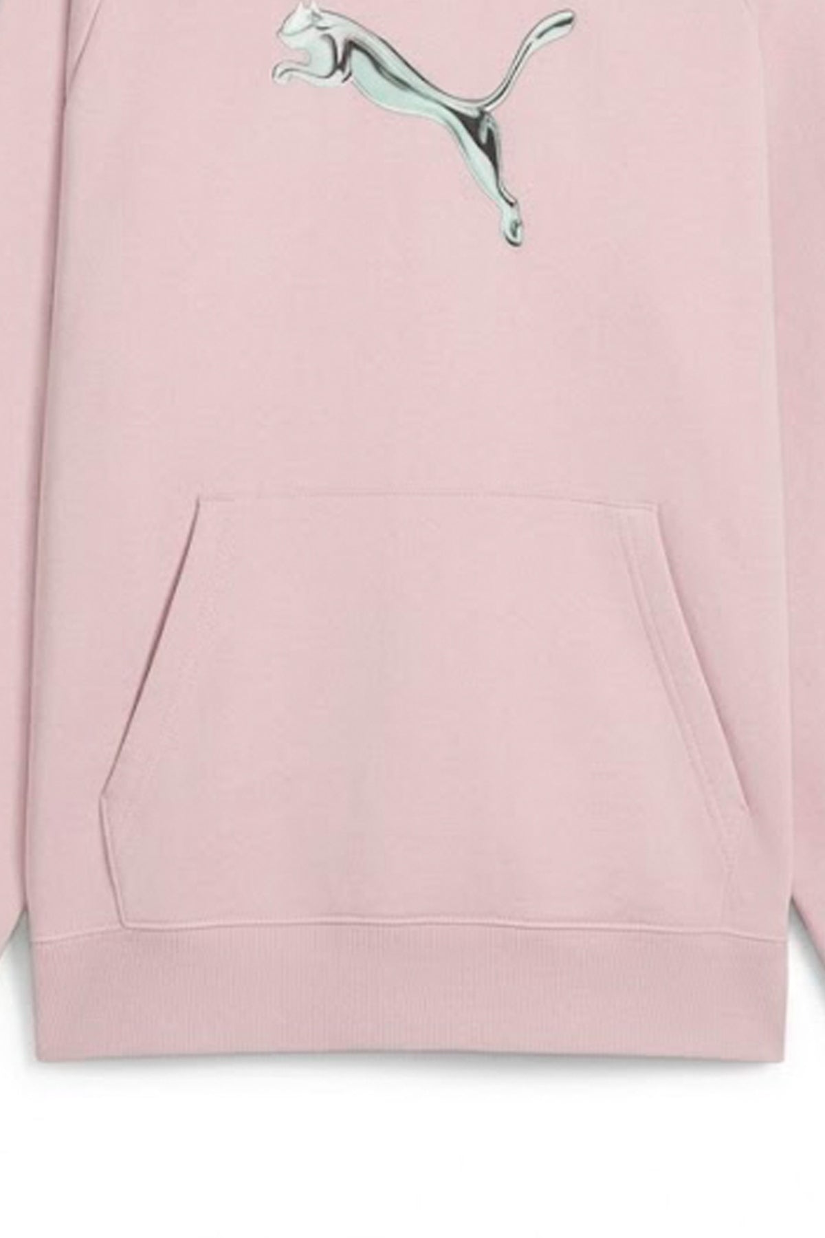 PUMA  STANDARD HOODIE en color   (3)