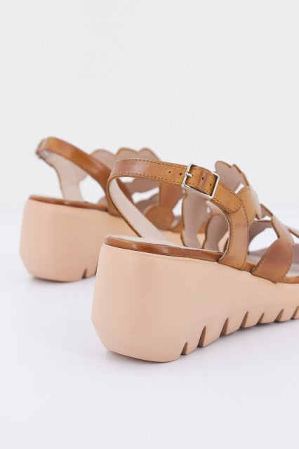 WONDERS D  en color MARRON  (3)
