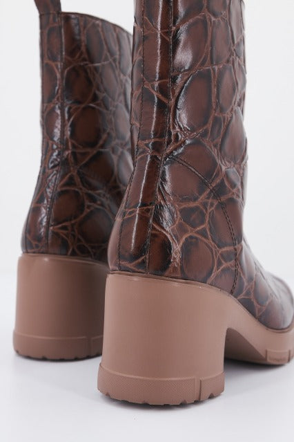 WONDERS H  en color MARRON  (3)
