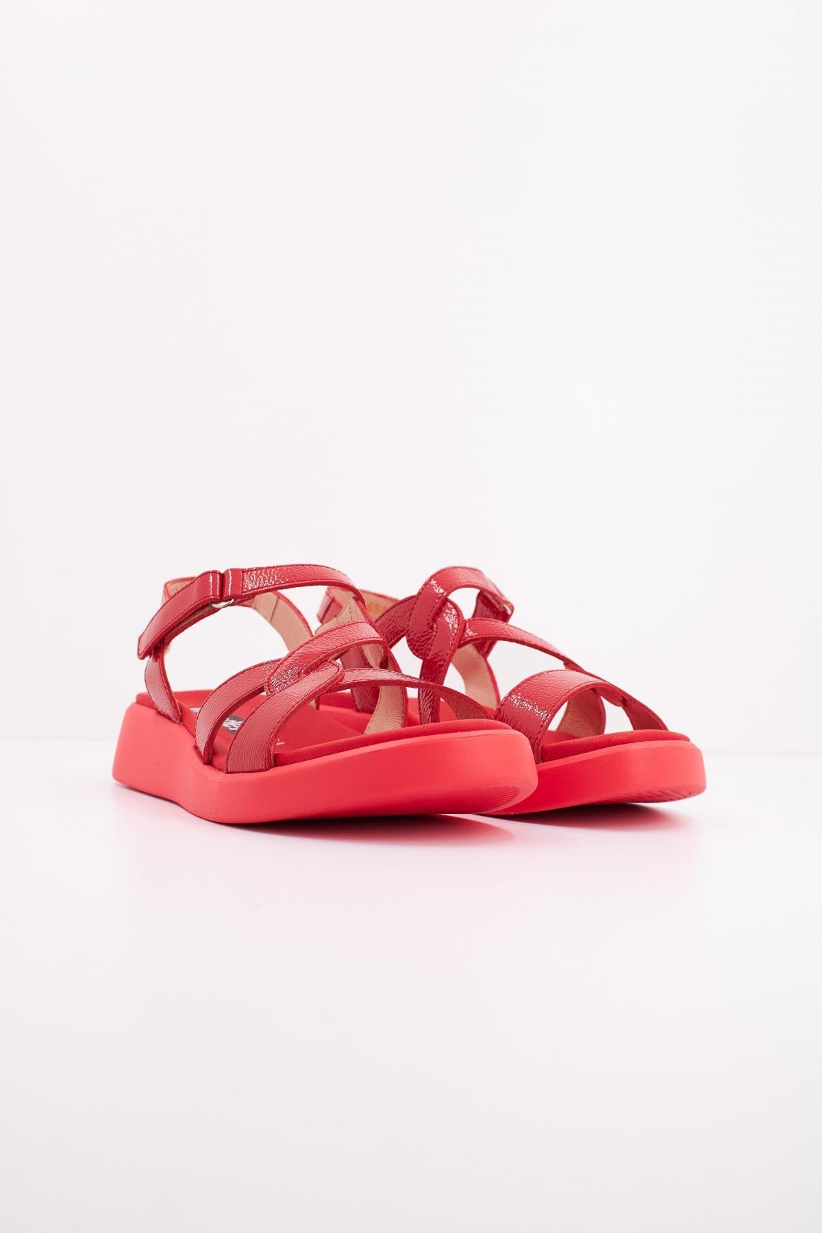 WONDERS C  en color ROJO  (2)