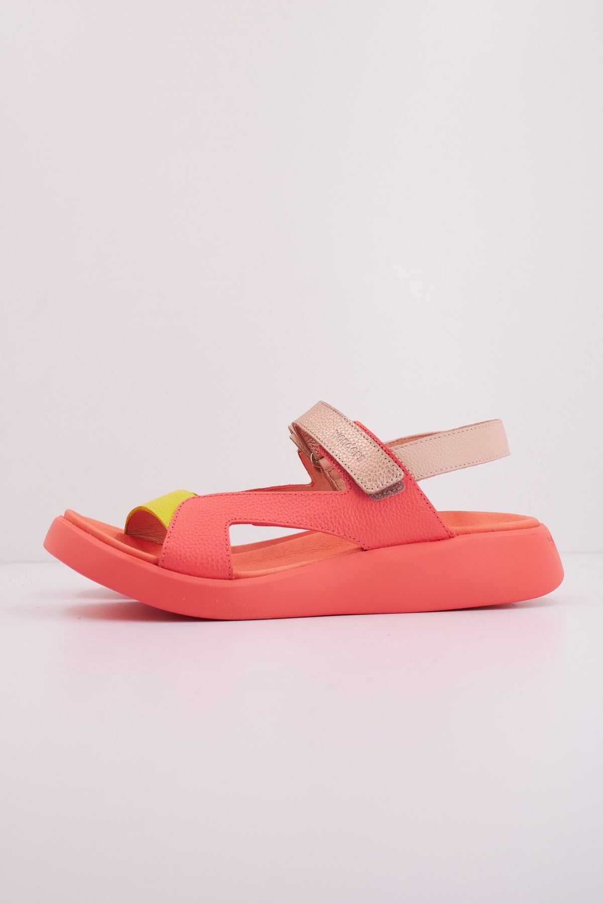 WONDERS C  en color ROSA  (1)