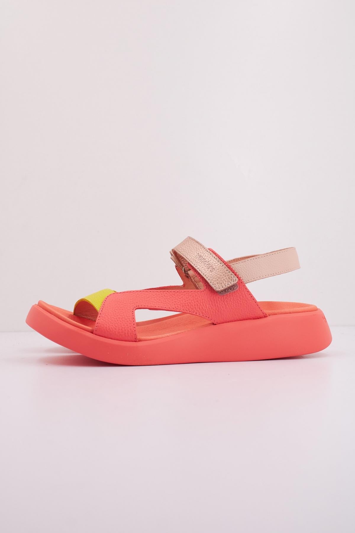 WONDERS C  en color ROSA  (1)