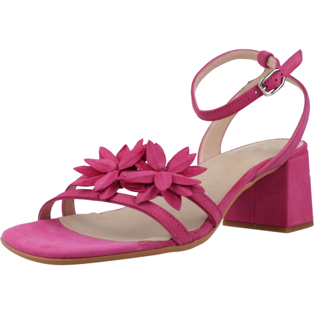 WONDERS F en color ROSA  (1)