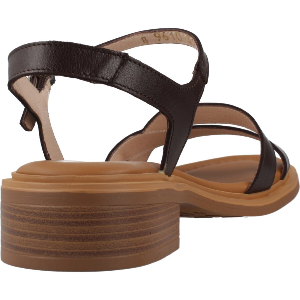 WONDERS B  en color MARRON  (3)