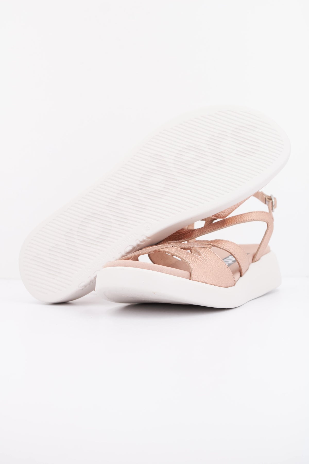 WONDERS C en color ROSA  (5)