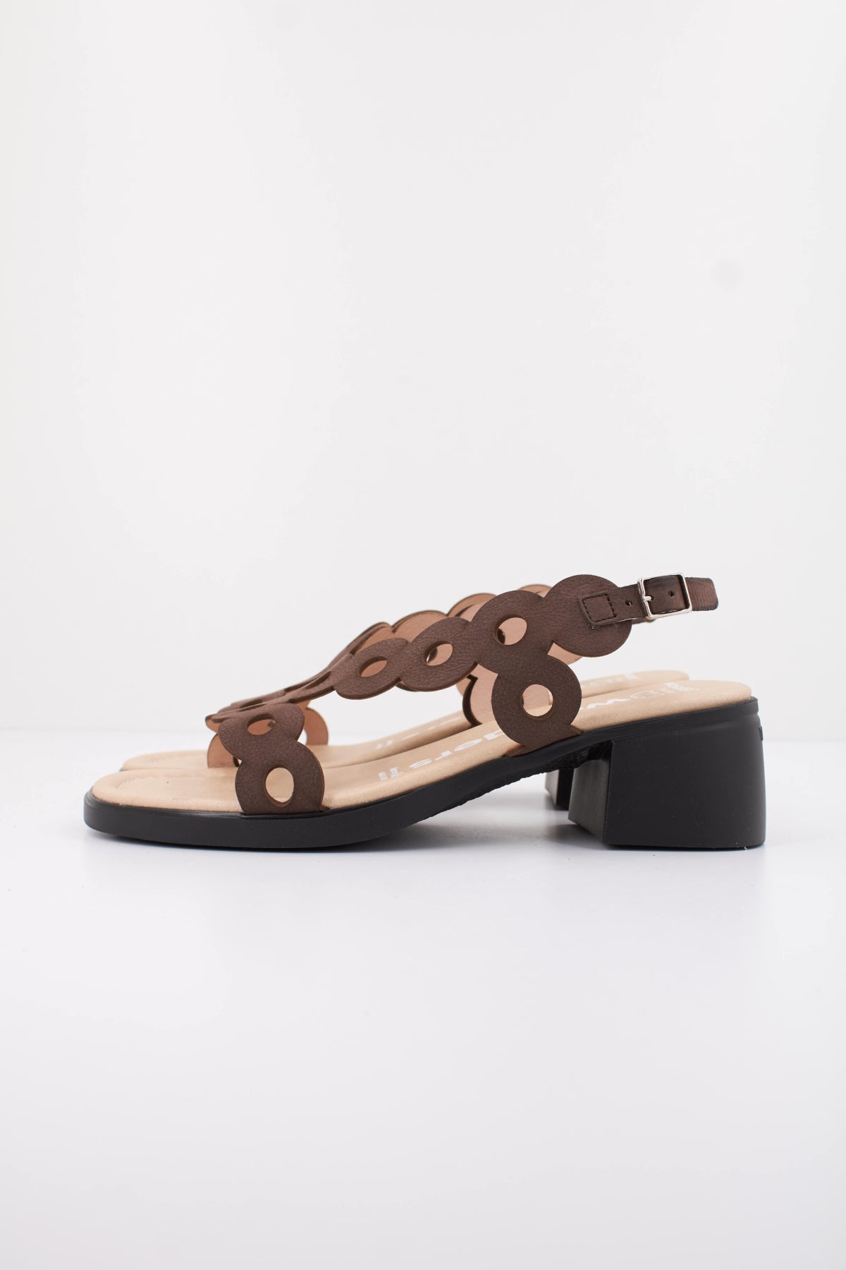 WONDERS D en color MARRON  (1)