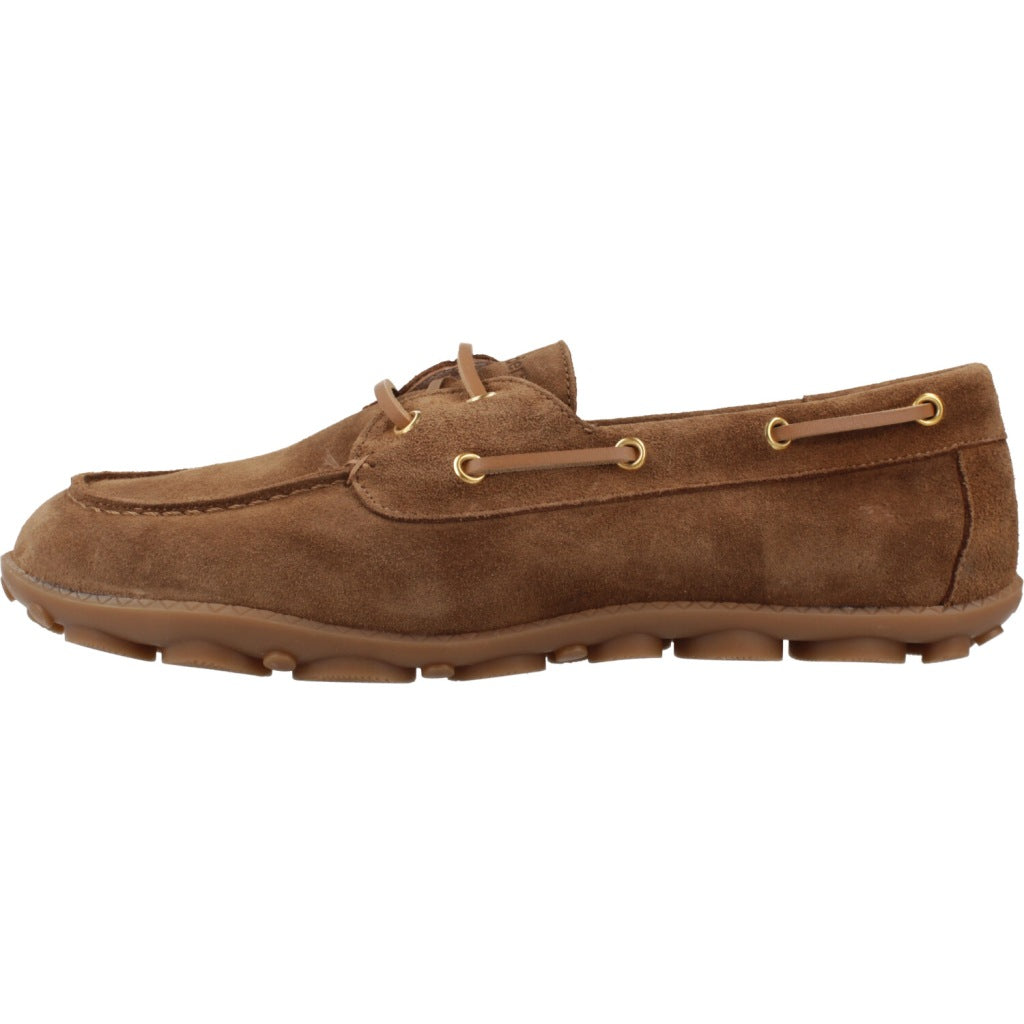 WONDERS AP en color MARRON  (2)