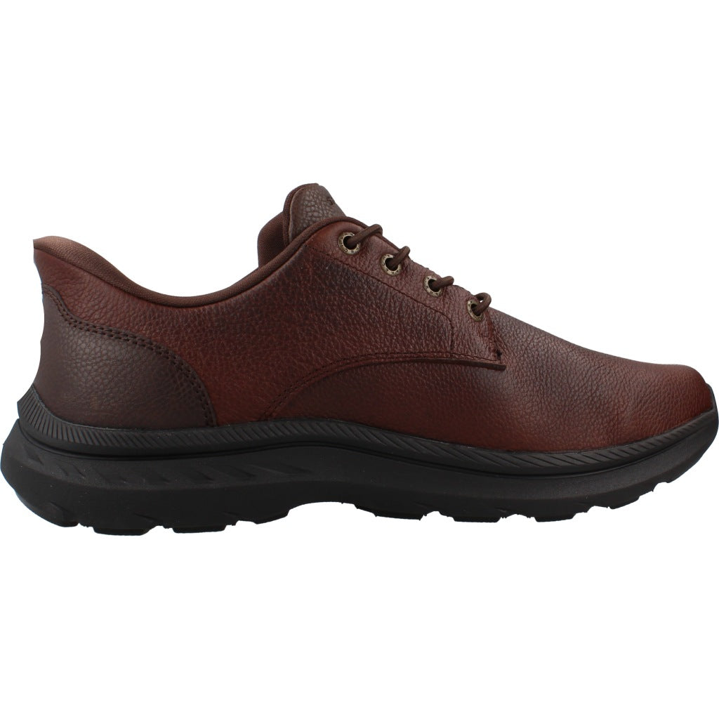 SKECHERS S POLLARD COLT en color MARRON  (4)