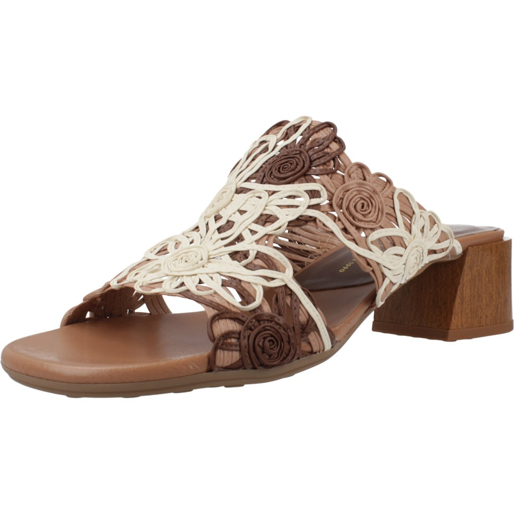HISPANITAS HV  en color MARRON  (1)