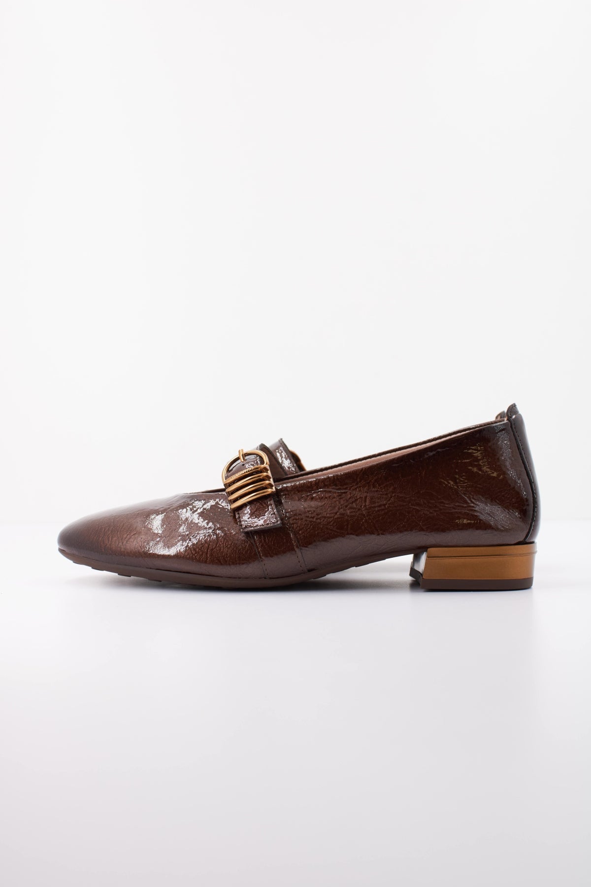 HISPANITAS HI en color MARRON  (1)