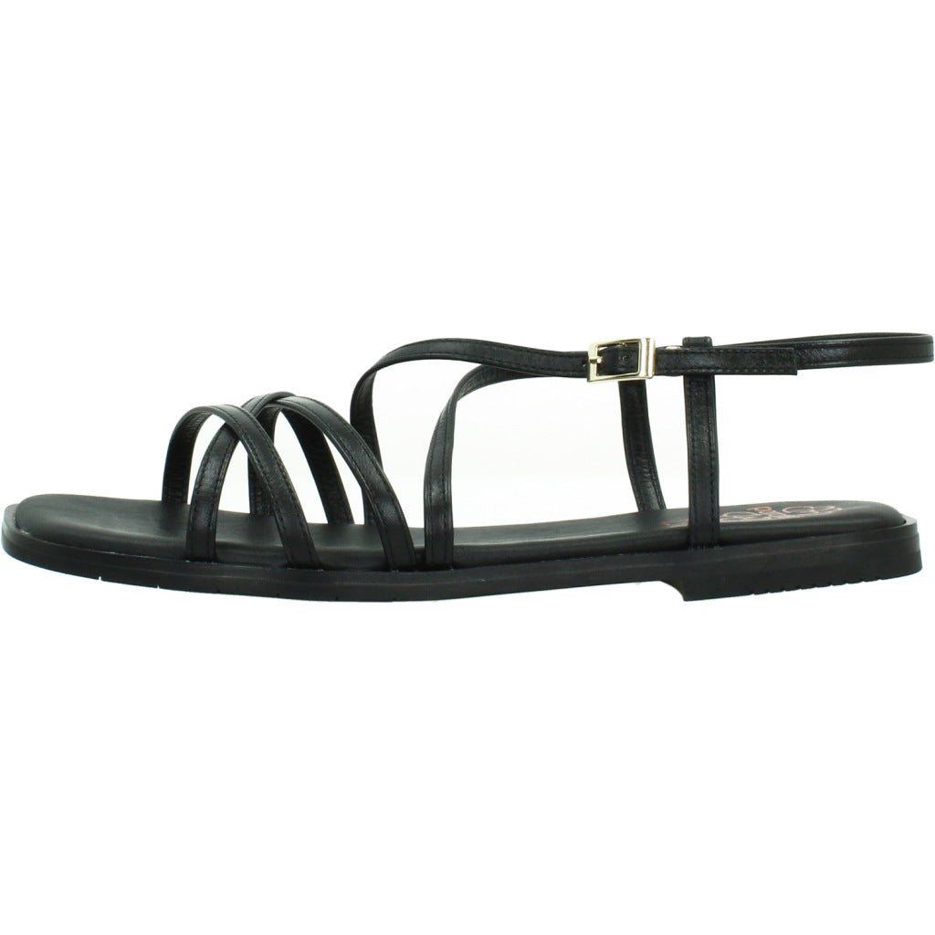 PORRONET PLATA . en color NEGRO  (2)