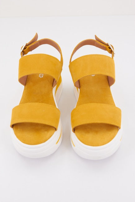 YELLOW KIMET en color AMARILLO  (2)
