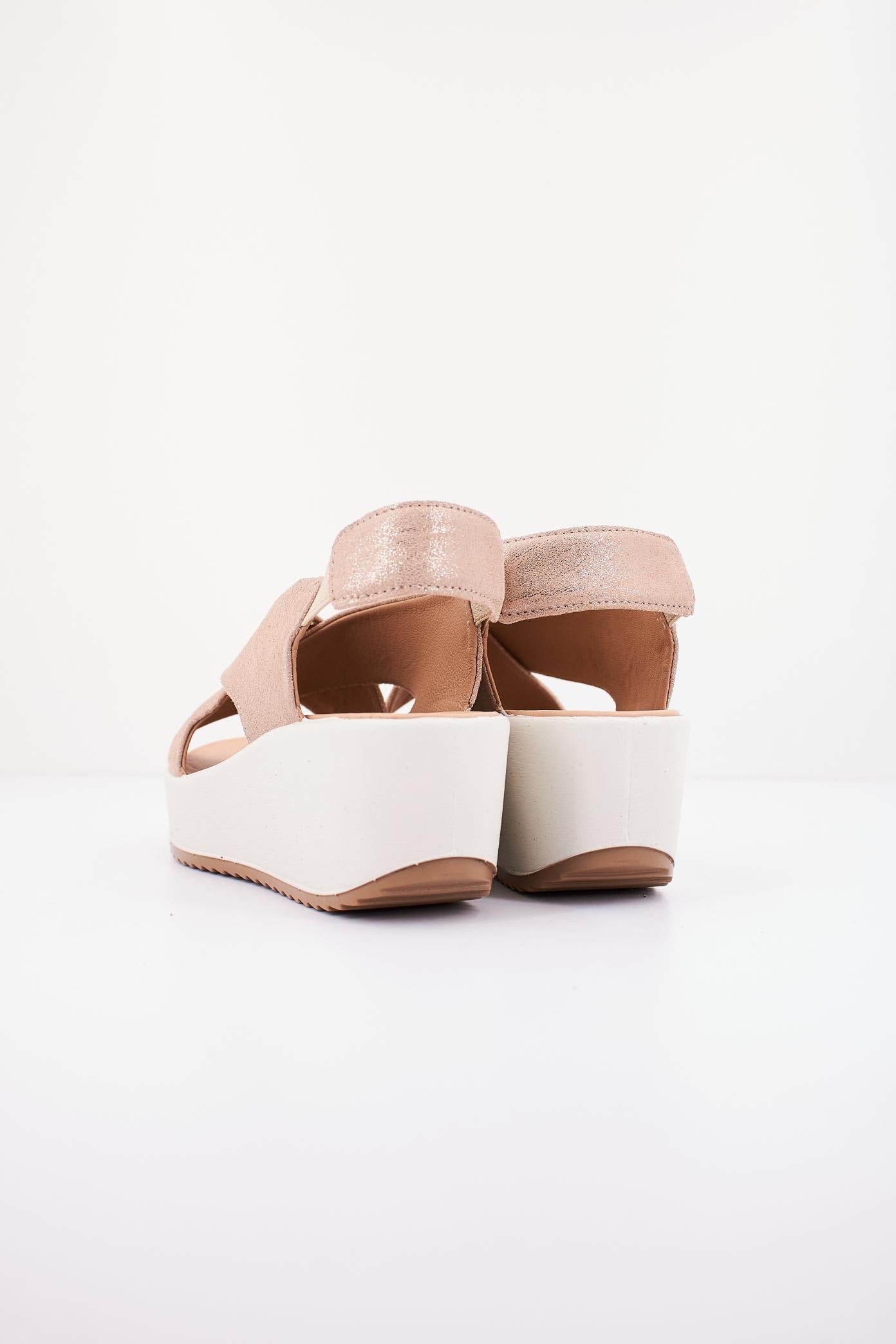 IGI&CO IG en color BEIS  (3)