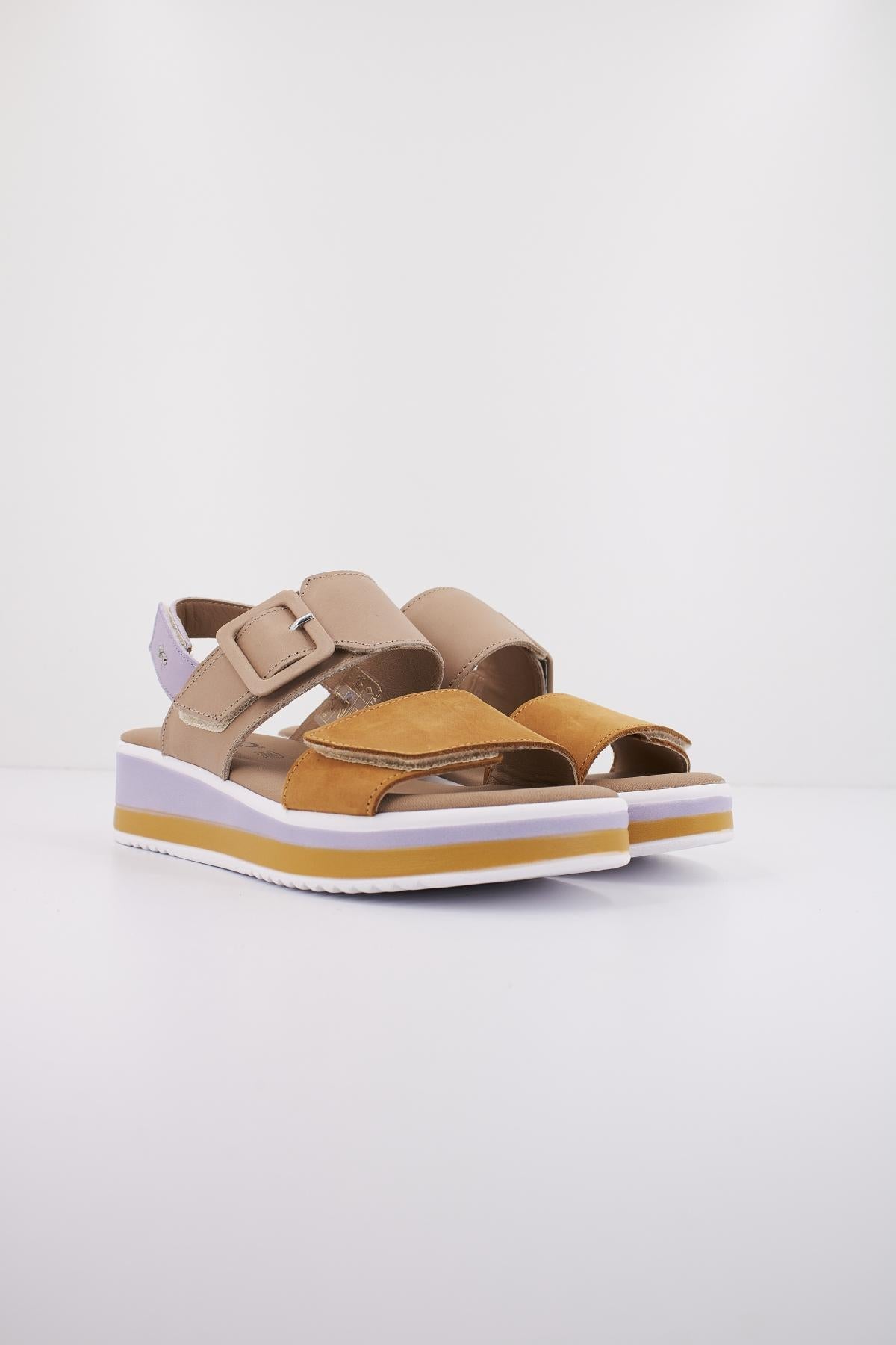 IGI&CO IG en color MULTICOLOR  (2)