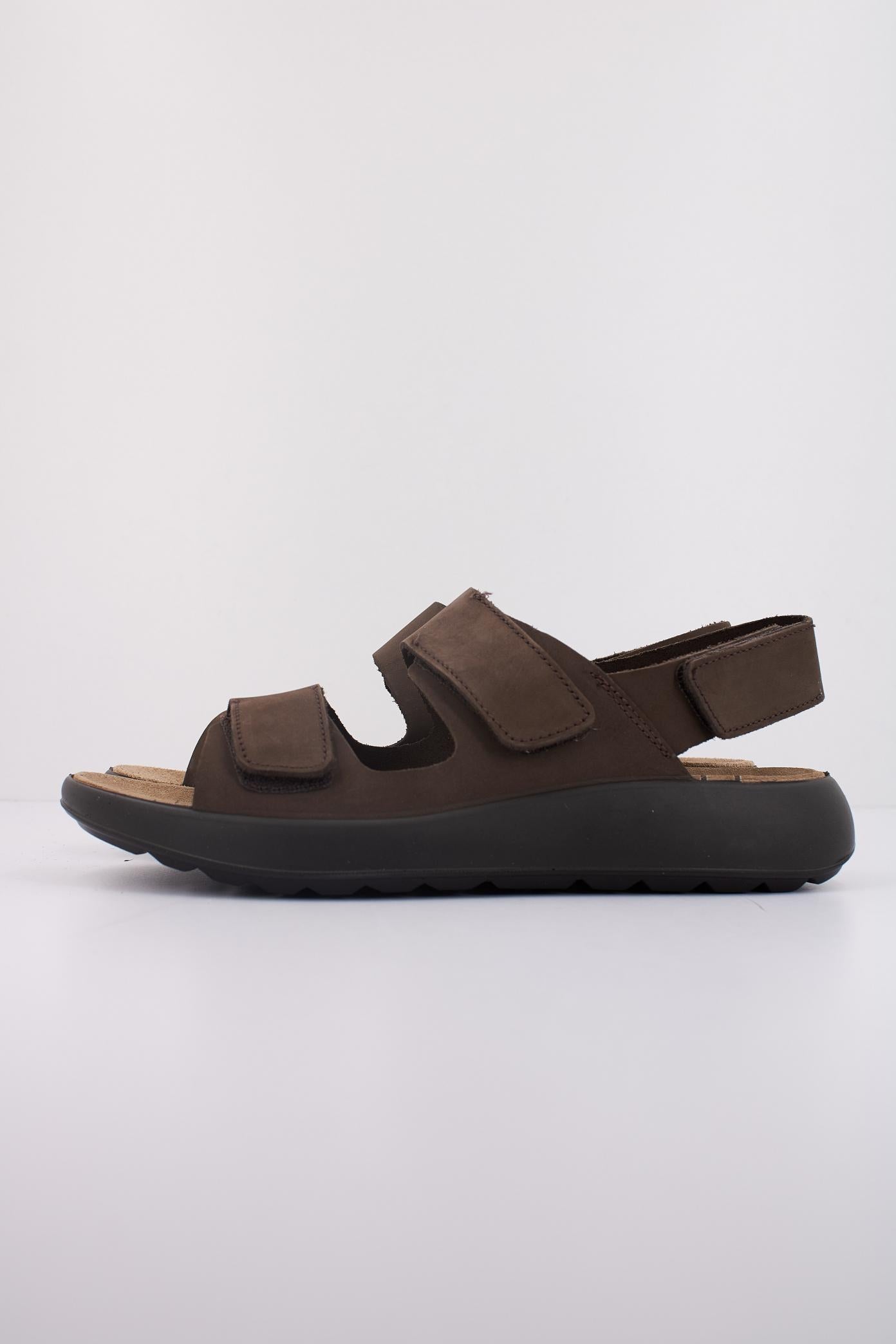 IGI&CO U PALMER en color MARRON  (1)
