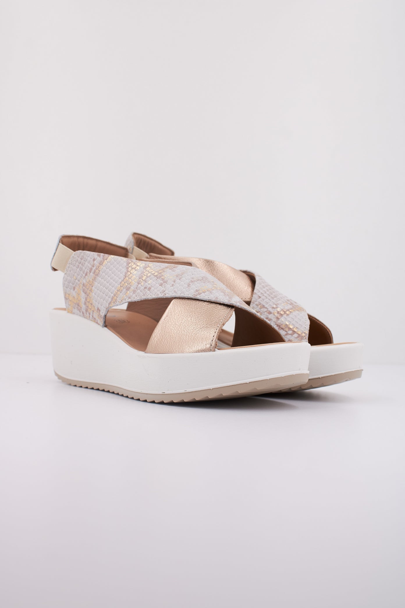 IGI&CO IG en color ANIMAL PRINT  (2)