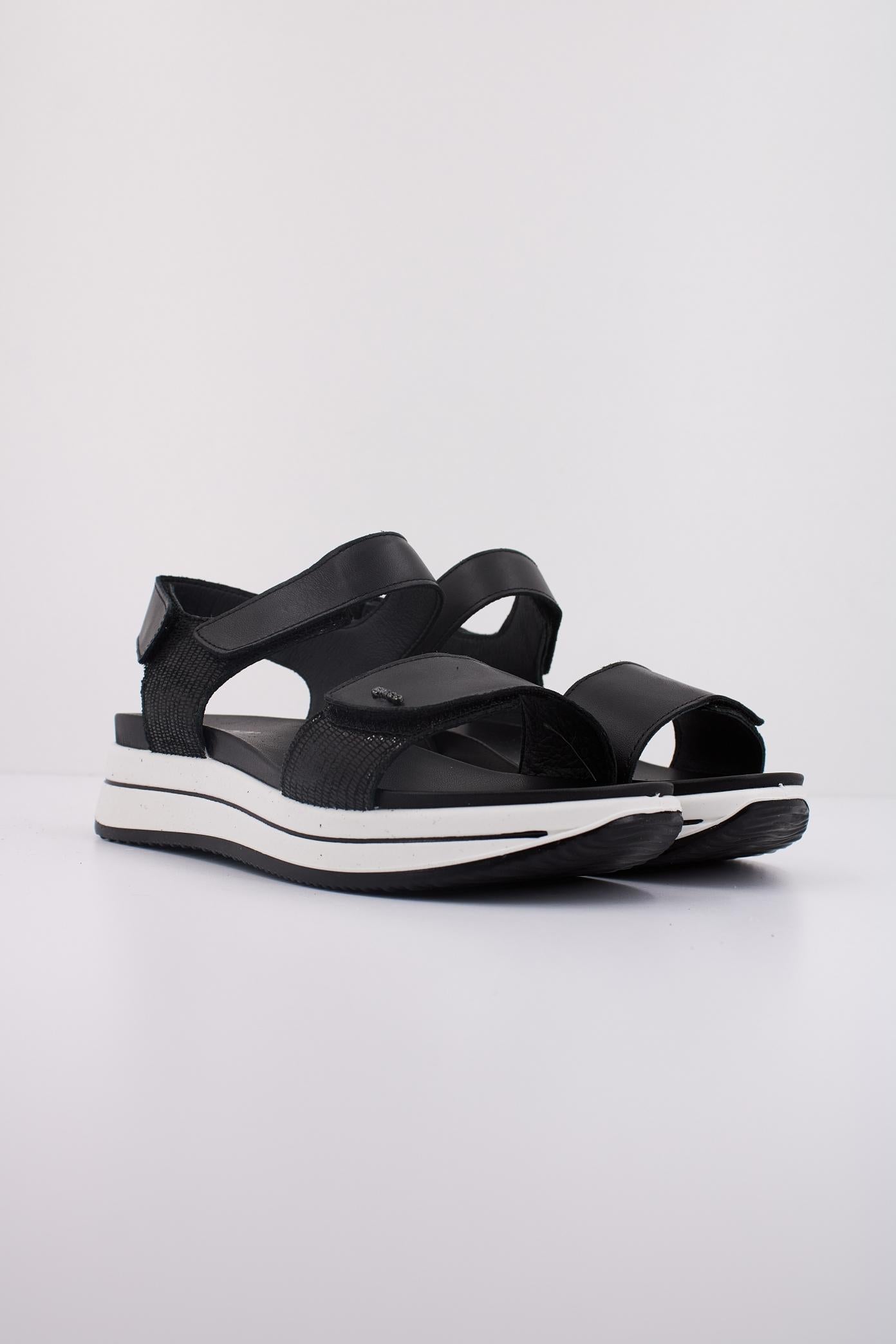 IGI&CO IG  en color NEGRO  (2)