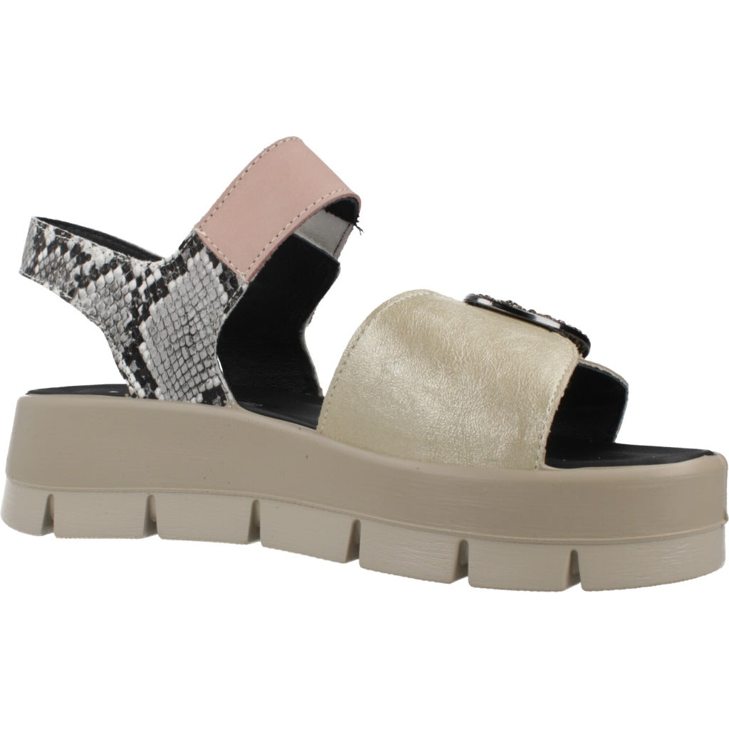 IGI&CO IG en color MULTICOLOR  (5)