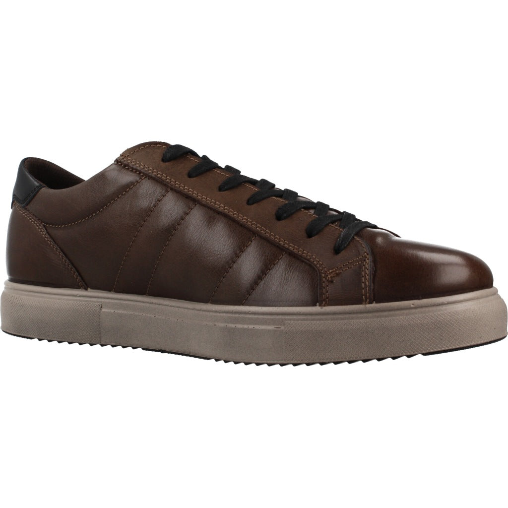 IGI&CO IG en color MARRON  (5)