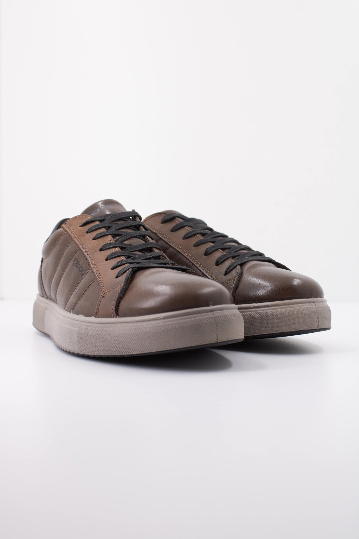 IGI&CO IG en color MARRON  (2)