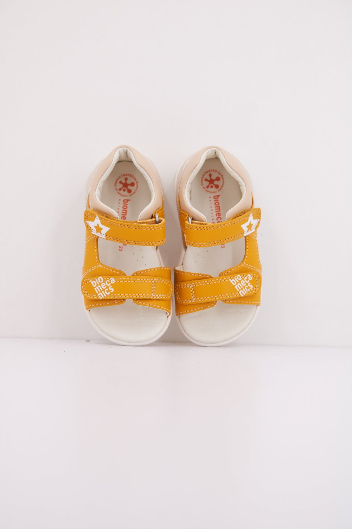 BIOMECANICS B en color AMARILLO  (3)