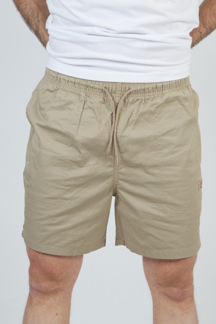 DICKIES PELICAN RAPIDS en color MARRON CLARO  (1)