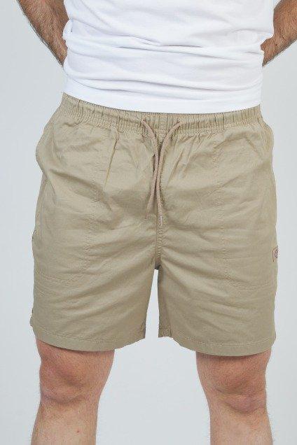 DICKIES PELICAN RAPIDS en color MARRON CLARO  (1)