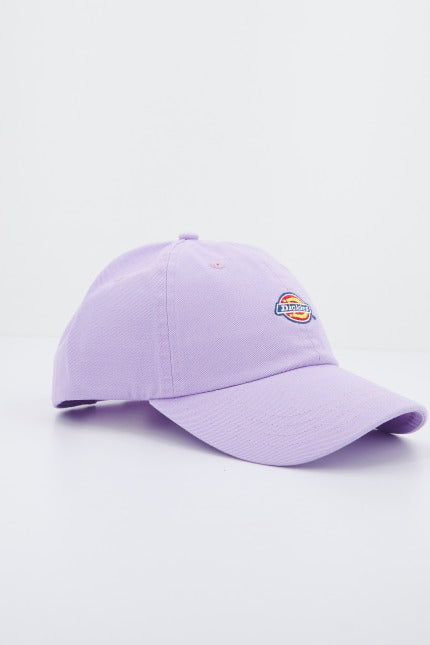 DICKIES HARDWICK en color VIOLETA  (2)