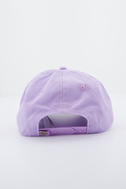DICKIES HARDWICK en color VIOLETA  (3)