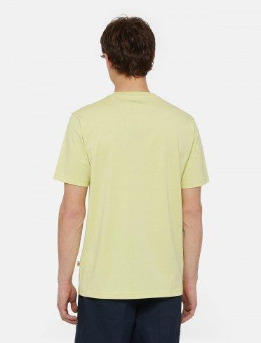DICKIES SS MAPLETON TEE en color VERDE  (3)