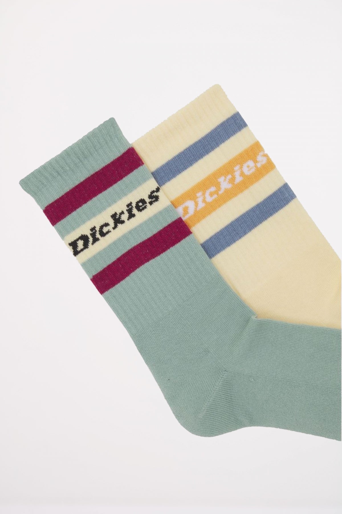 DICKIES GENOLA ICEBERG GREEN en color MULTICOLOR  (2)