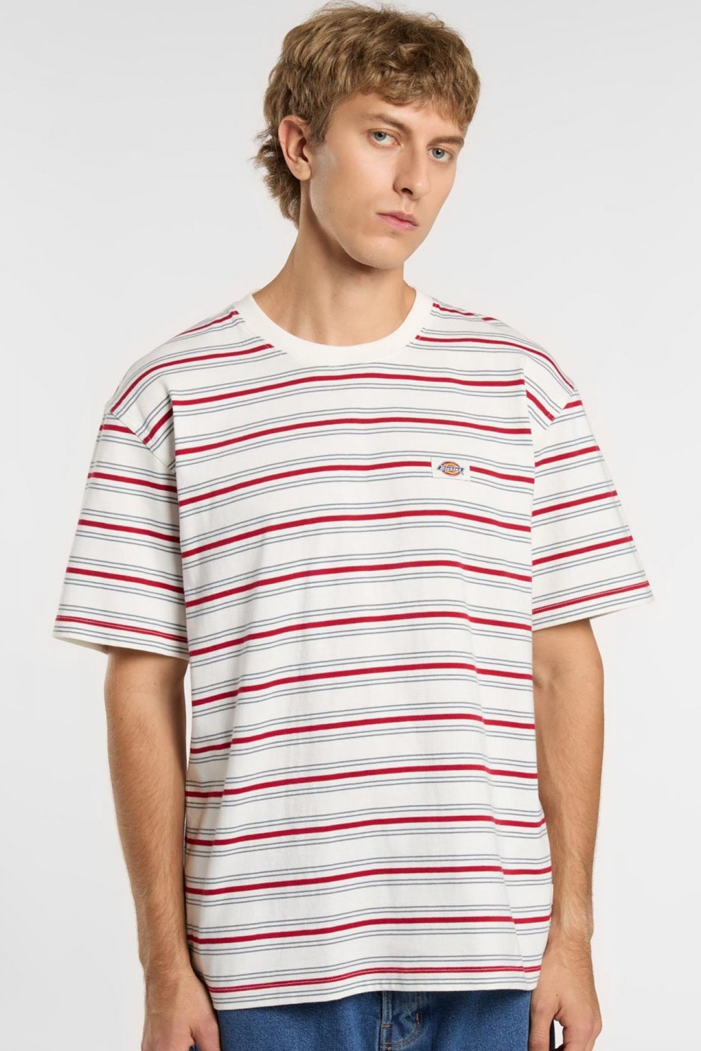 DICKIES LEWISTOWN STRIPE SS TE en color BLANCO  (3)