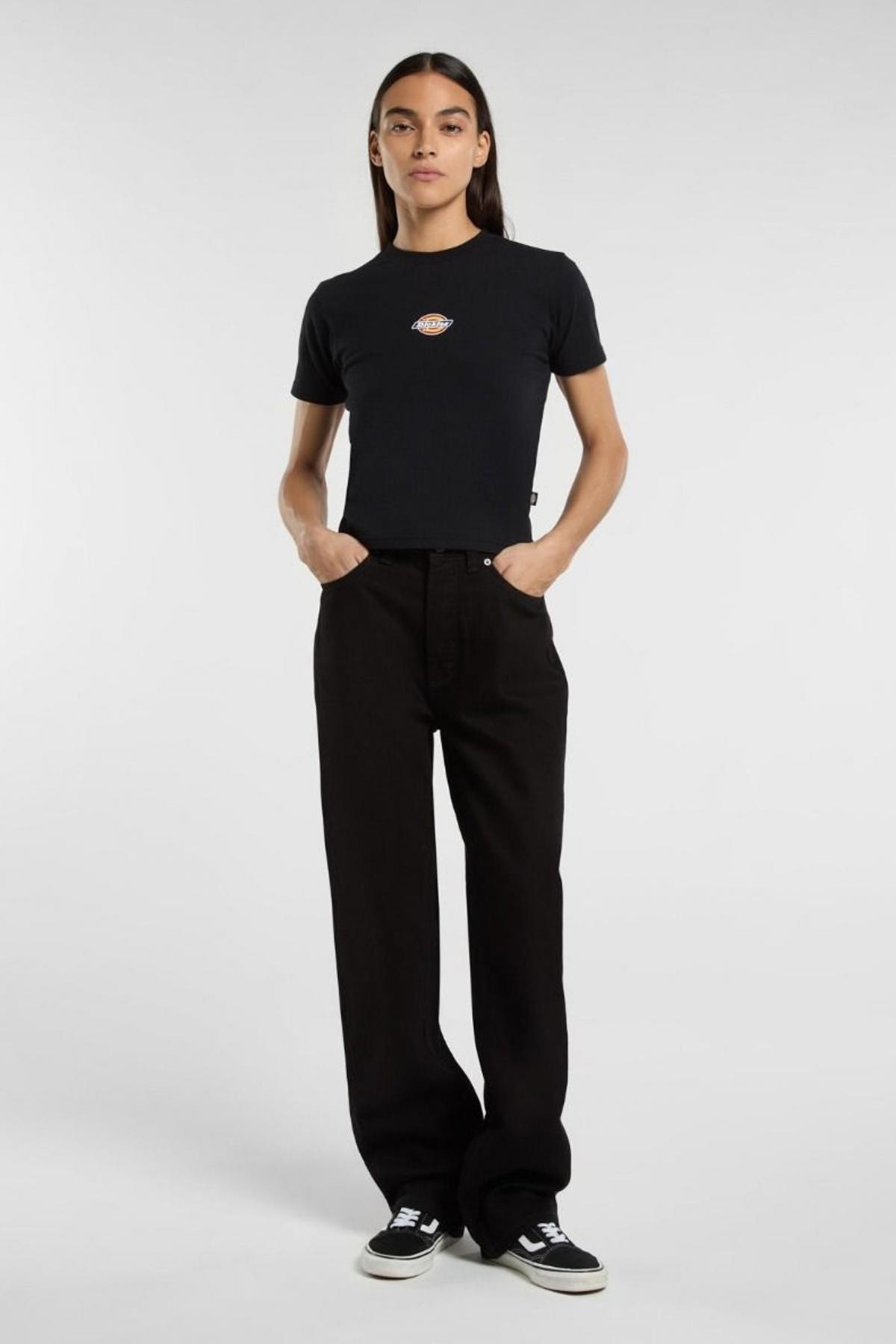 DICKIES MAPLE VALLEY REG TEE en color NEGRO  (4)