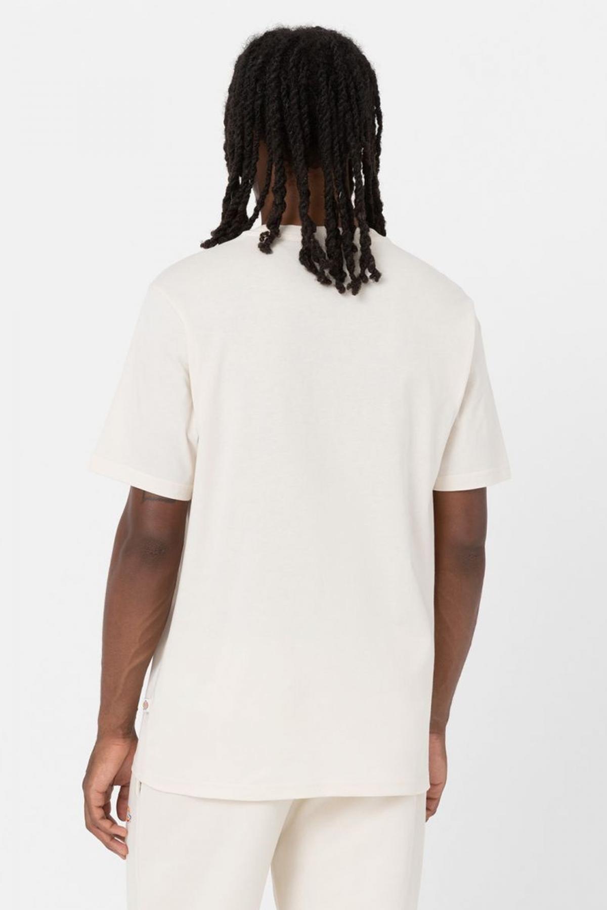 DICKIES MAPLETON TEE WHITECAP en color BEIS  (2)