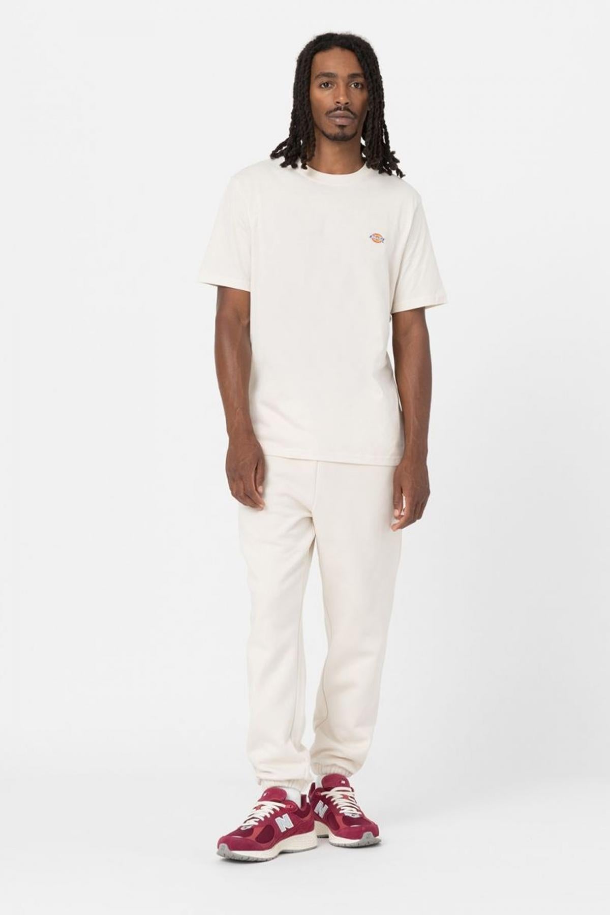 DICKIES MAPLETON TEE WHITECAP en color BEIS  (4)