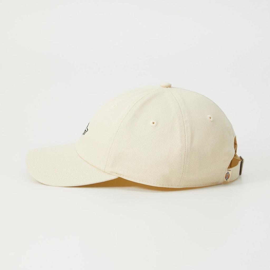 DICKIES ESSENTIAL DAD CAP CPRN en color BEIS  (5)