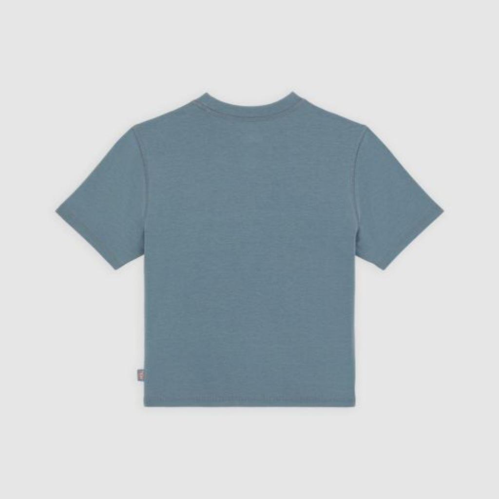 DICKIES DKAZFG CENTER LOGO en color AZUL  (5)