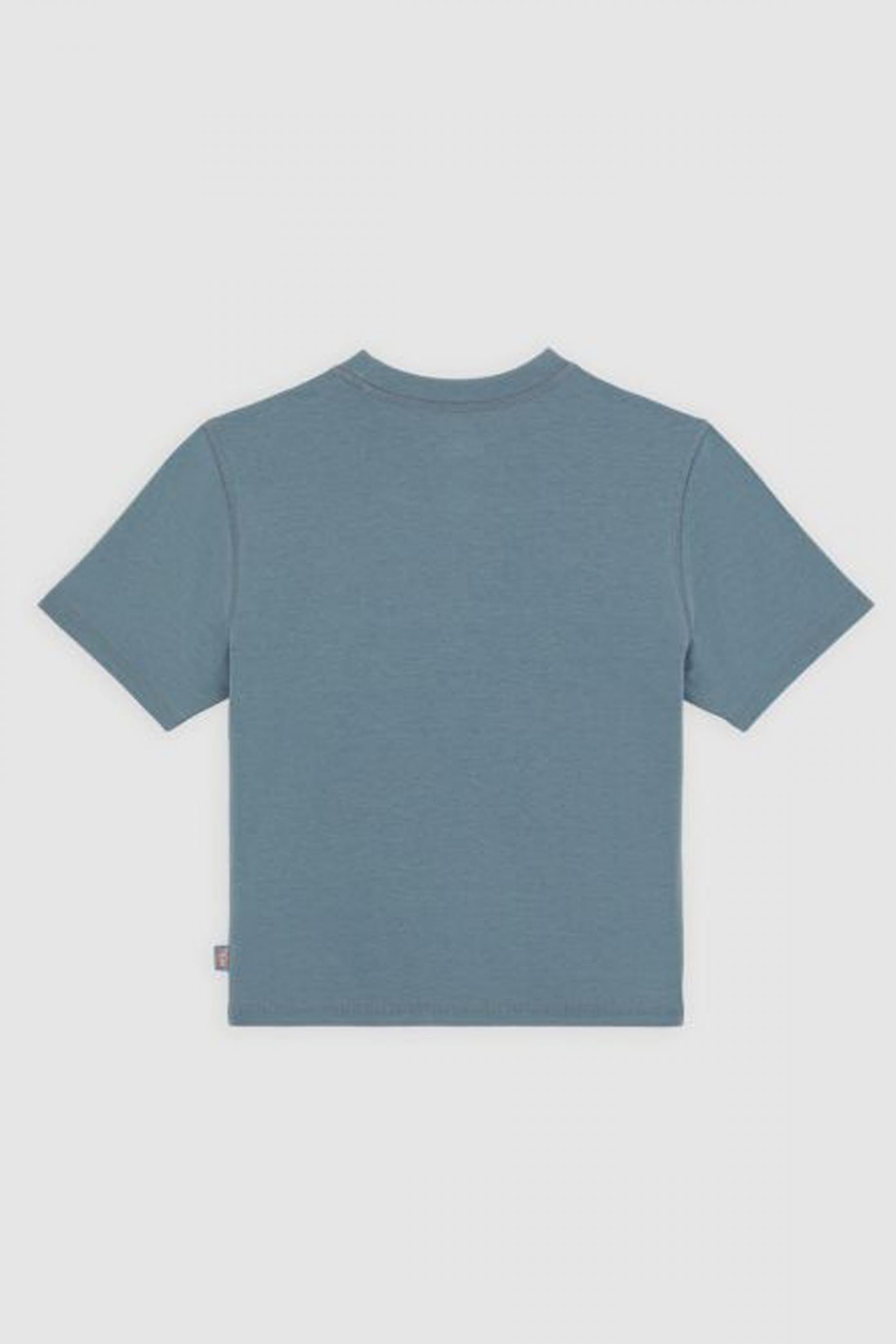 DICKIES DKAZFG CENTER LOGO en color AZUL  (2)