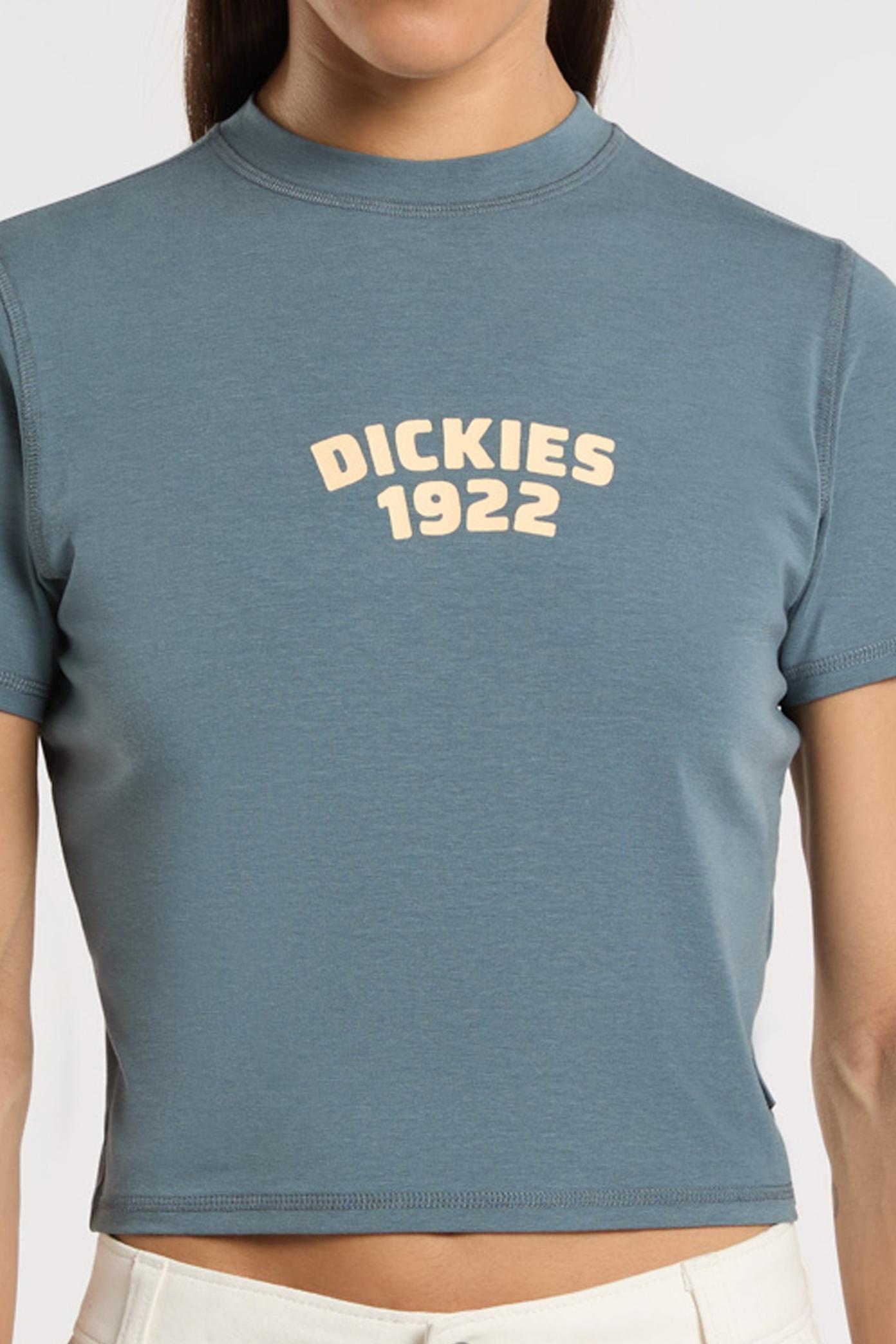 DICKIES DKAZFG CENTER LOGO en color AZUL  (3)