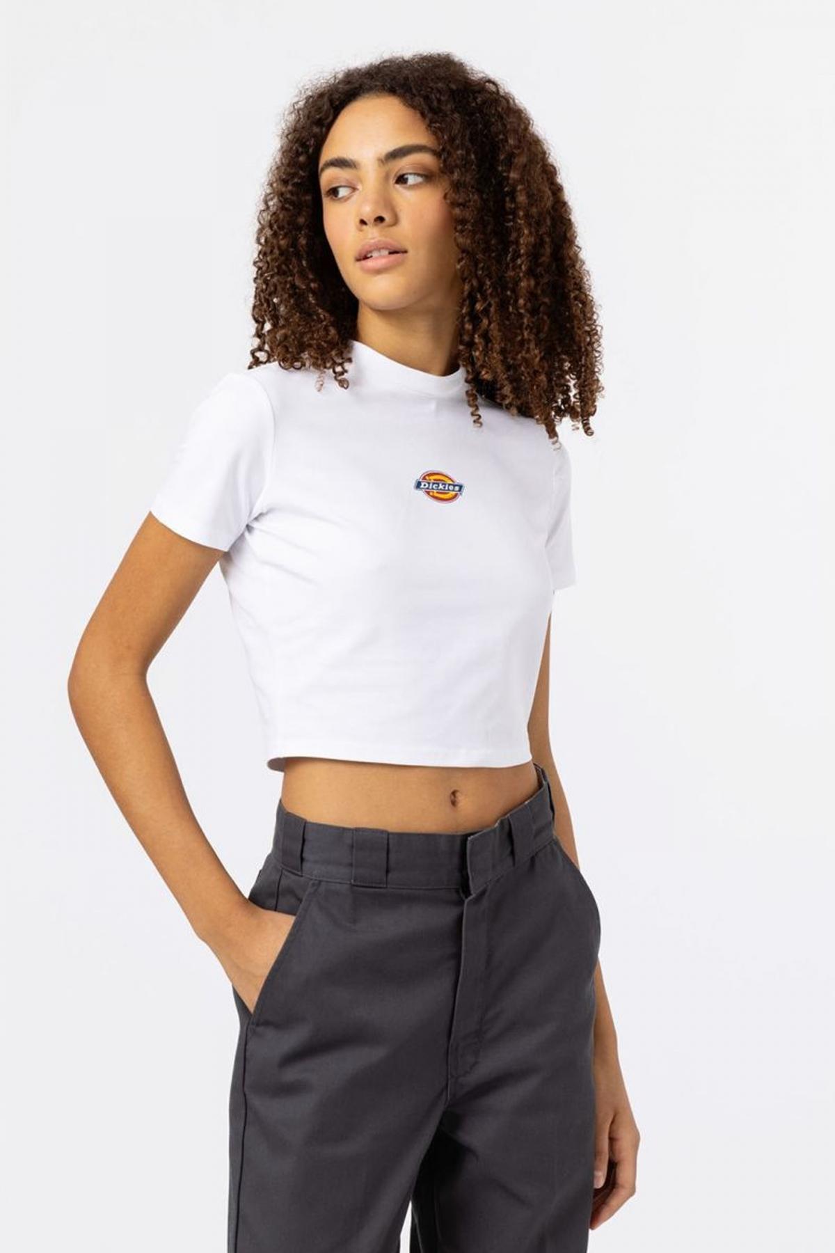 DICKIES MAPLE VALLEY REG TEE en color BLANCO  (1)