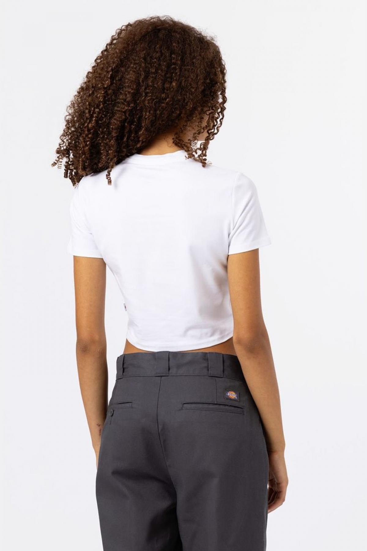 DICKIES MAPLE VALLEY REG TEE en color BLANCO  (2)