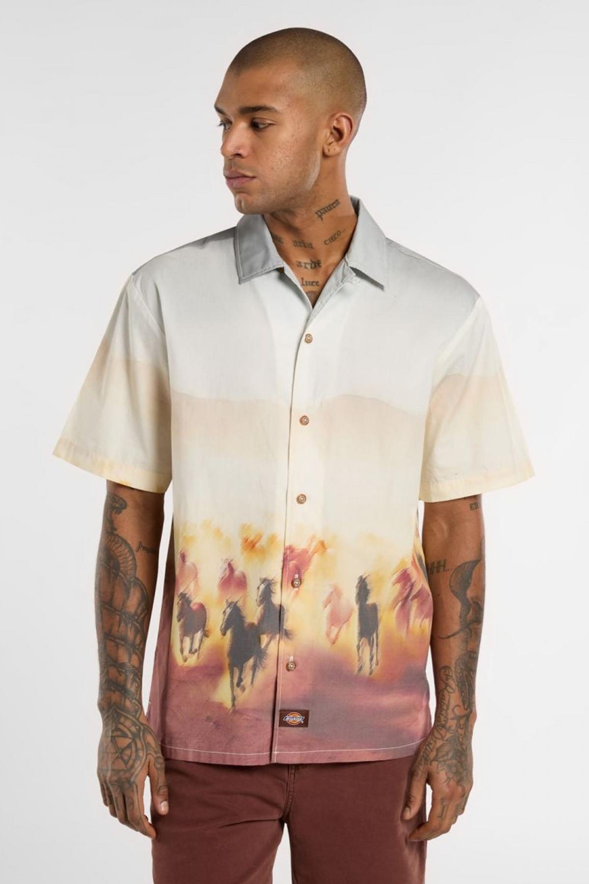 DICKIES RUNNING WILD SHIRT SS en color MULTICOLOR  (1)