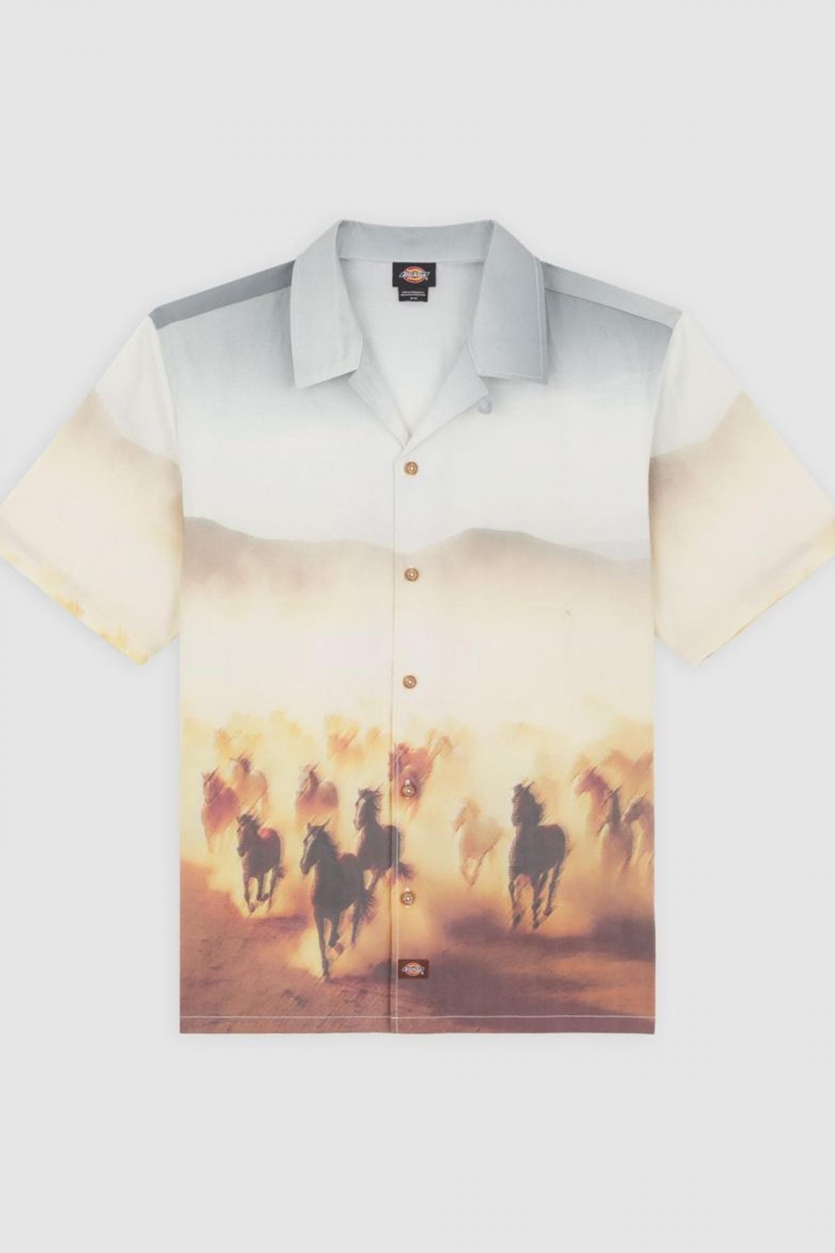 DICKIES RUNNING WILD SHIRT SS en color MULTICOLOR  (2)
