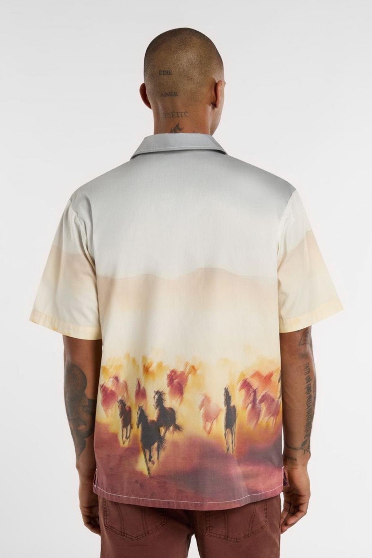 DICKIES RUNNING WILD SHIRT SS en color MULTICOLOR  (3)