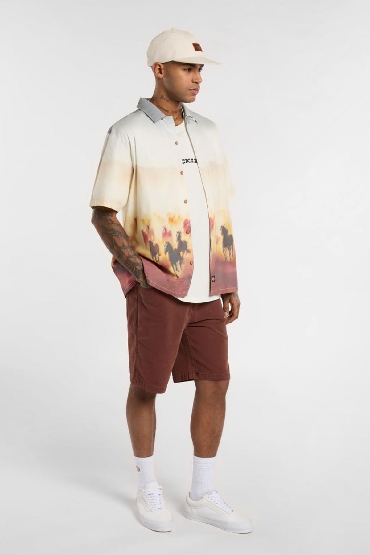 DICKIES RUNNING WILD SHIRT SS en color MULTICOLOR  (4)