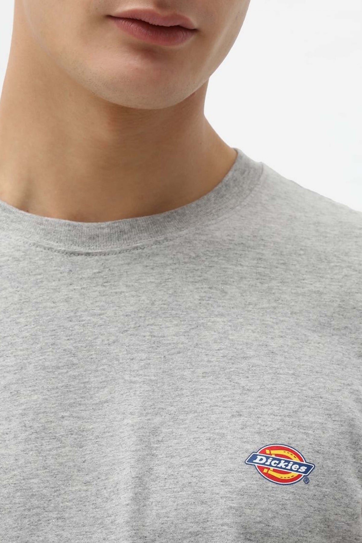 DICKIES SS MAPLETON en color GRIS  (3)