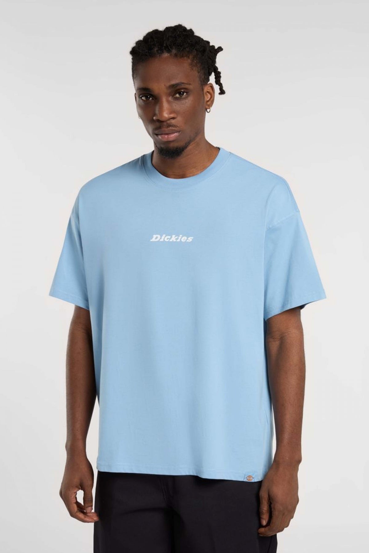 DICKIES ENTERPRISE en color AZUL  (1)